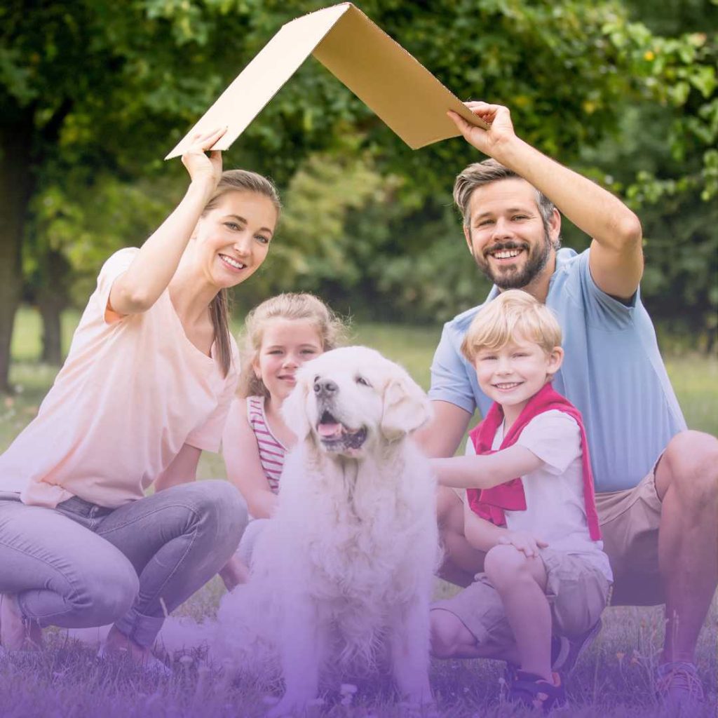 Questions about Life Insurance You Always Wanted to Ask - LowQuotes